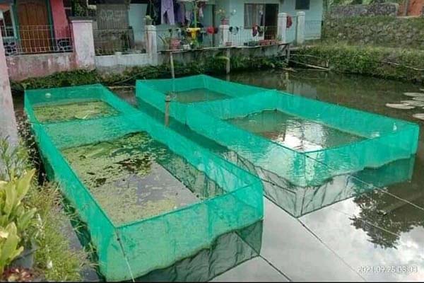 produk - jaring keramba waring 1 produk - jaring keramba waring 1