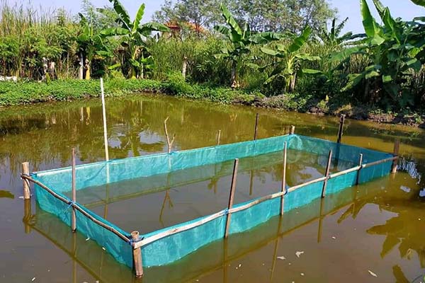 produk - jaring keramba waring 2 produk - jaring keramba waring 2