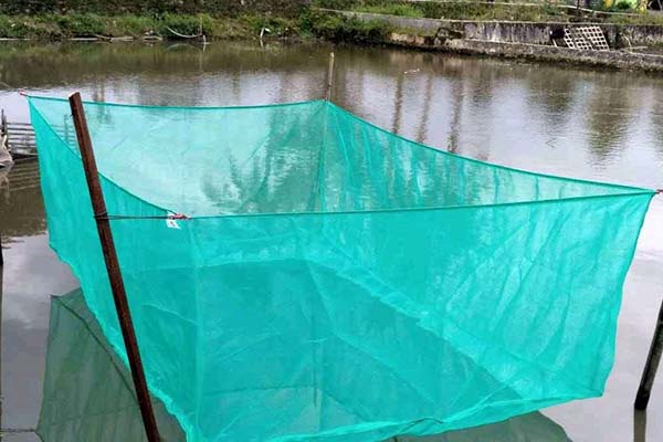 produk - jaring keramba waring 5 produk - jaring keramba waring 5